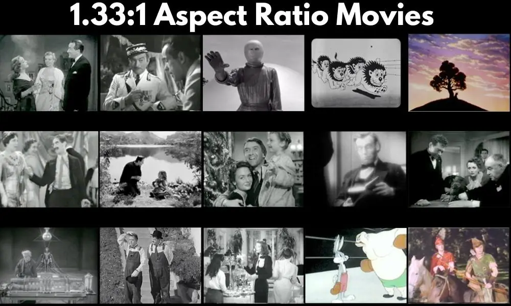 1.331 aspect ratio - known as Academy Ratio or Full Frame