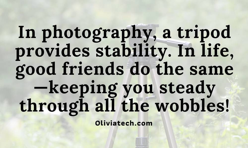 Funny and wise Photography Puns