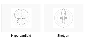 Hyoercadioid and Shotgun patern