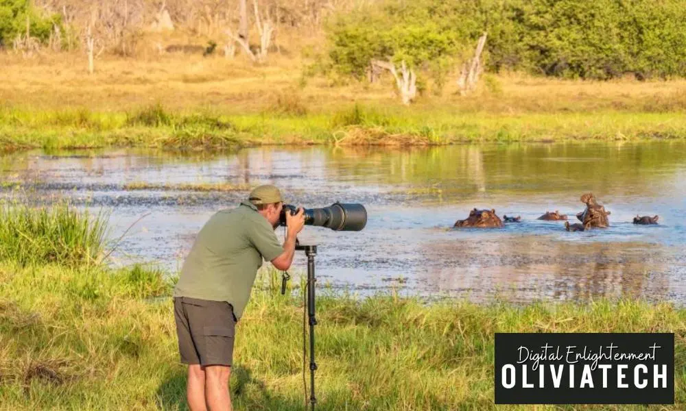 Tips on Shooting with a Monopod - Capturing Wildlife Footage on a Hike