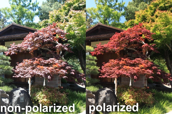 non-polarized-polarized-example